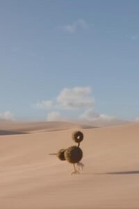Life of a Doduo: Pokearth